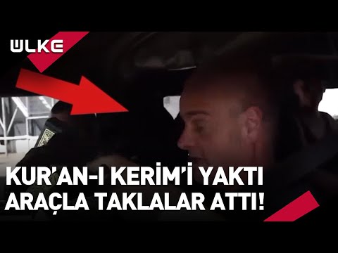 Video: Köpeğin Dev Kulakları Bir Pencerenin Dışına Uçtuktan Sonra Güvenliğine Paraşüt Verdi