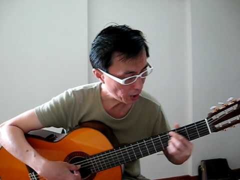 red-bean-(hong-dou)-guitar-cover