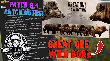 GREAT ONE WILD BOAR FURS REVEALED!!! Going Over Everything In Patch 8.4! - The Hunter COTW