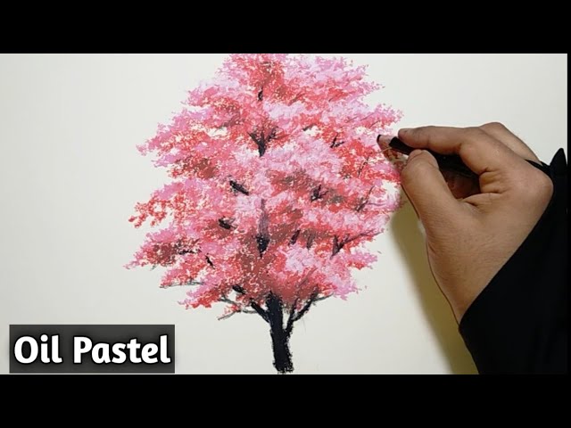 How to draw a cherry blossom | Step by step Drawing tutorials