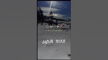 سورة الاخلاص #قران_كريم #اكسبلور #دويتو #تيك_توك #لايك #صباح_الخير #ترند #حالات_واتس #duet