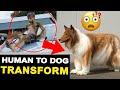 Japanese man toko dog transformation  human to dog convert spends  12 lakh   on costume