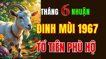 Tuổi Đinh Mùi 1967, tháng 6 Nhuận đặc biệt của Năm Ất Tỵ 2025, Vận Mệnh soi đường, Tổ tiên Phù hộ