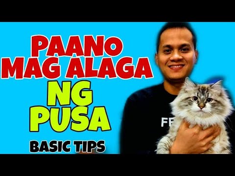 Video: Paano Mag-aalaga Ng Pusa