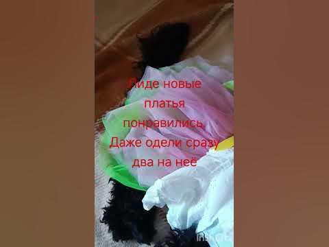 Завтра мы с Лидой идём на день рождения к Лиде-человеку. Будем гулять в ...
