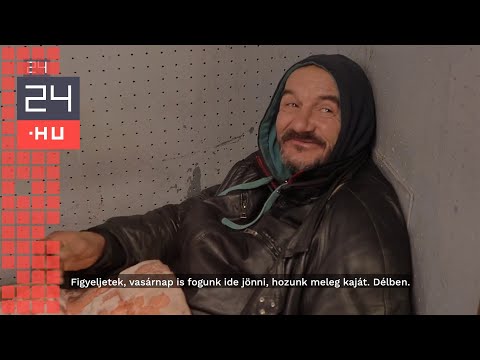 Videó: Hogy áll A Hajléktalan állatok Kiállítása