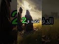 جعفر بن أبي طالب أبو المساكين اكسبلور قصص الصحابة معلومات