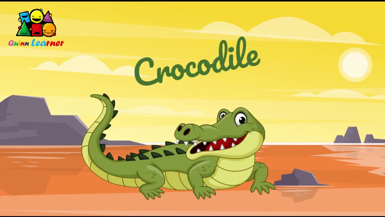 The Reptiles | Reptile Chart | Reptiles song - YouTube