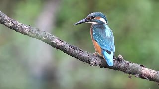 Lukács Péter A Vízen Túl...