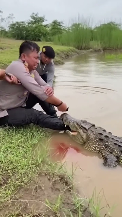 DILUAR LOGIKA!! KAKI POLISI INI DI MAK*N BUAYA😱 #viral #shorts #short