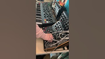 My Moog Semi-Modular Booth