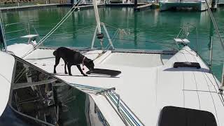 E01 - Moving states and aboard our new home