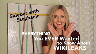 Everything You Ever Wanted to Know About WikiLeaks