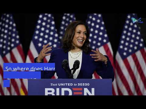 Where Does VP Hopeful Kamala Harris Stand on Israel?