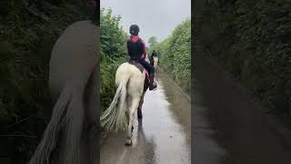 We went on a hack and it was really rainy! #horse #morningactivities