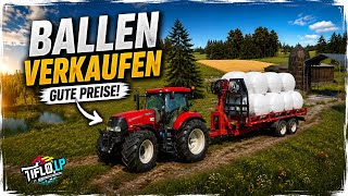 LS 25 Grünes Land ❗Klee ernte und Ballen verkaufen❗Unser 0 Euro Community Projekt Server