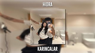 Hidra - Karıncalar Speed Up
