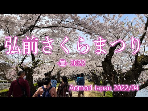 青森 弘前さくらまつり -昼- 2022 / Hirosaki Cherry Blossom Festival 2022 [Daytime]
