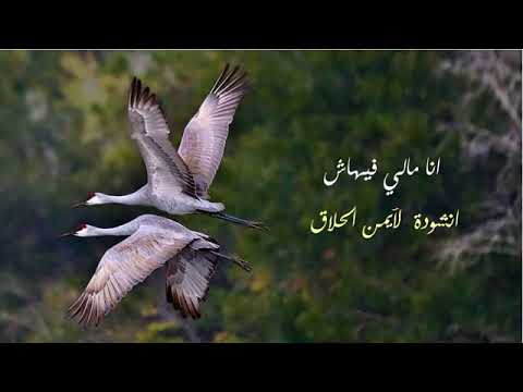 انشودة أنا مالي فيهاش بدون إيقاع