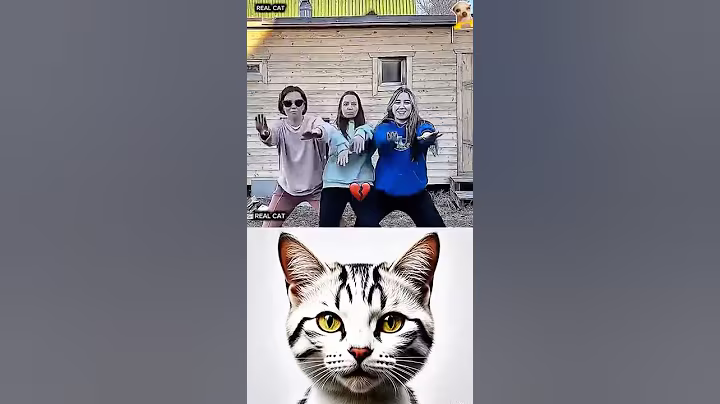 Unexpected girls whit dance 😁#funny #cat #dance #shorts