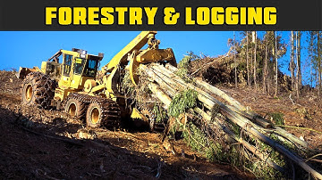 Tigercat Dangle Felling On Hillside - Real Life Forestry & Logging - FDR Logging