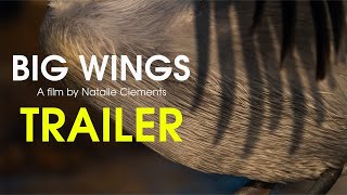 Big Wings Trailer