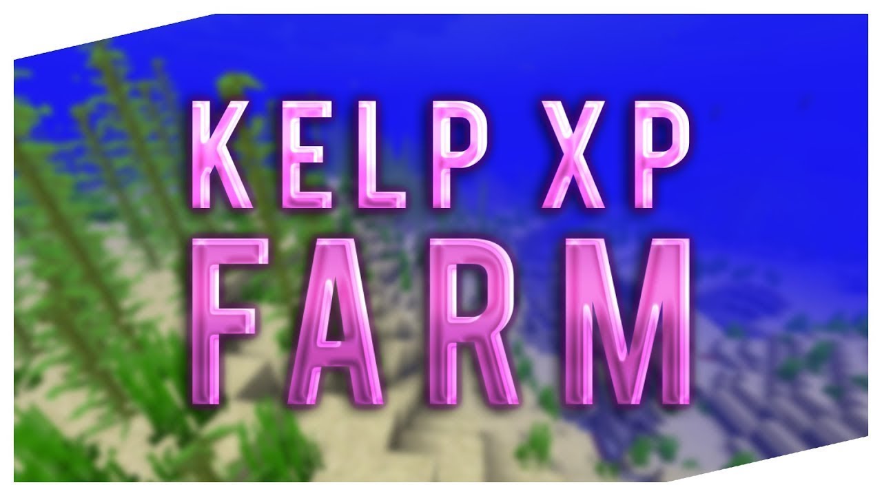 HOW TO MAKE A XP KELP FARM (EASY) *JAVA* 