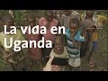 Guacamole en Uganda | Uganda y Ruanda #2
