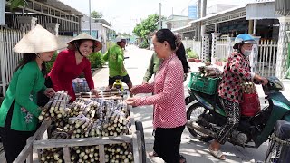 Anh Tuấn ở Cali Mua Giúp 200 Cây Mía của Bà Năm Tặng cho Bà Con | HQ #1204