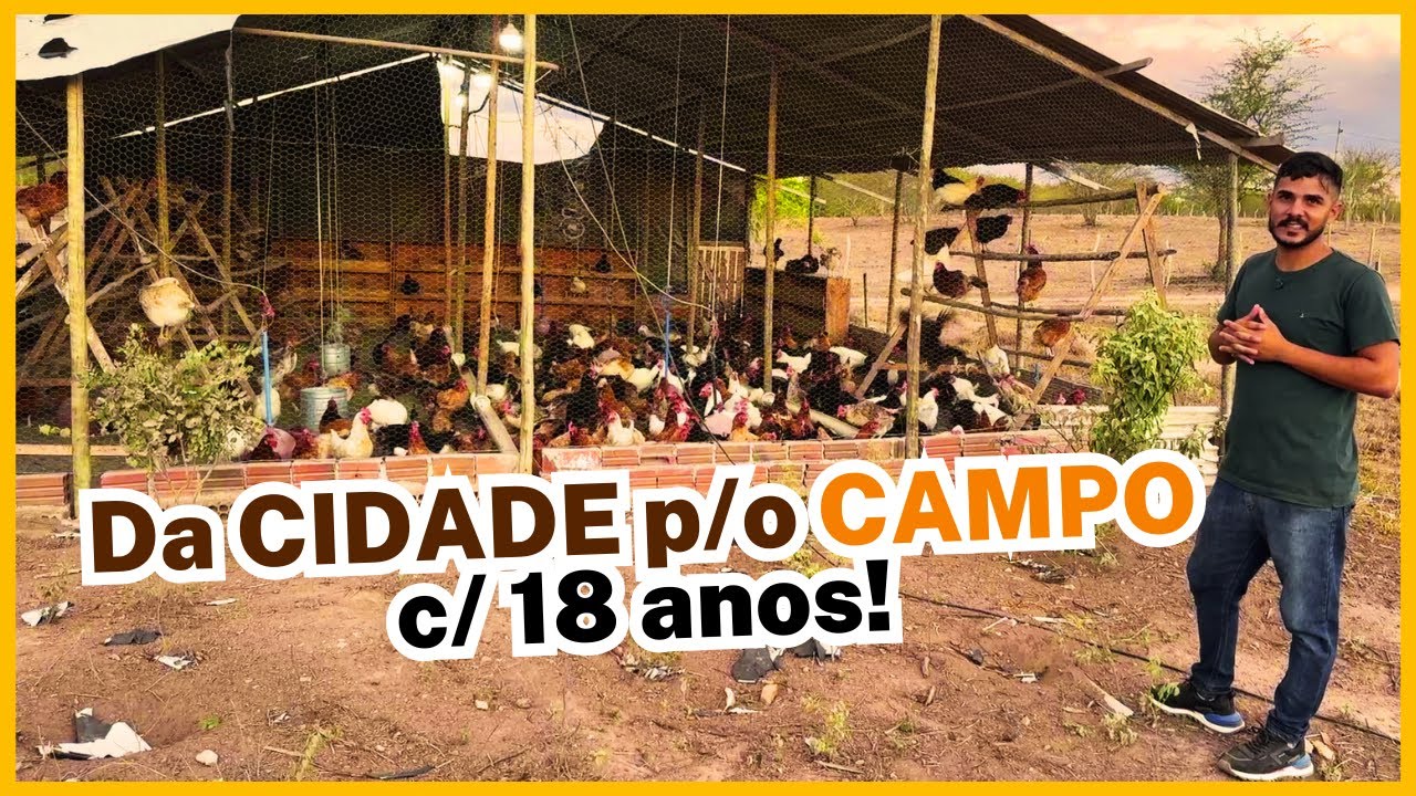 MUDEI da CIDADE p/ o CAMPO para PRODUZIR OVOS CAIPIRAS