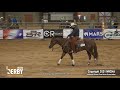 SJR Smooth Lil Oak shown by Kyle L  Noyce - 2021 DT Horses Western Derby-Open Hackamore