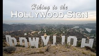 Hiking to the Hollywood Sign and the Wisdom Tree in Los Angeles