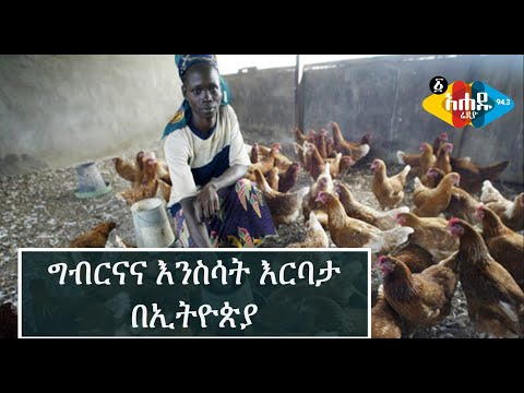 ቪዲዮ: የቢዝነስ ግንኙነት በስልክ፡ አጠቃላይ ህጎች እና ምሳሌዎች