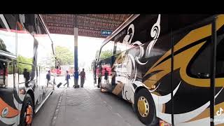 Dj pie kabar mu sayang versi bus po hariyanto