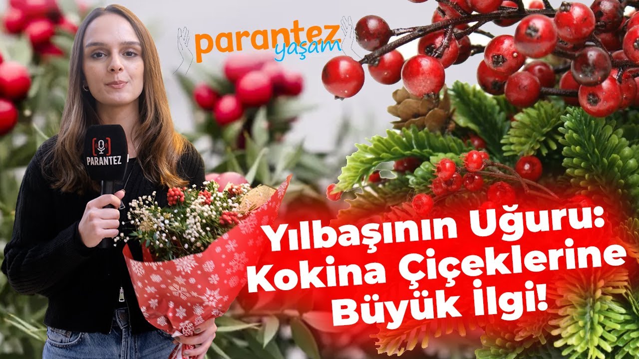Yılbaşının Uğuru: Kokina Çiçeklerine Büyük İlgi!
