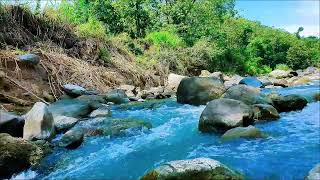 Let Nature Lull You to Sleep: The Calming Power of Sleep Sounds - Nature Sounds, Relaxing Sounds