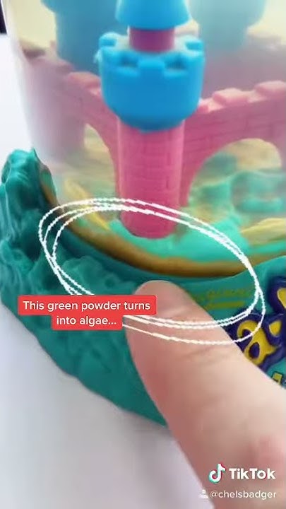 what-do-you-feed-sea-monkeys-youtube