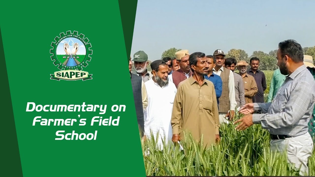 Documentary on Farmer's Field School. YouTube