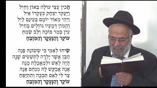 זכריה פדלי הפיוט עוקד והנעקד והמזבח כמנהג תימן עם ילדי מבשר טוב