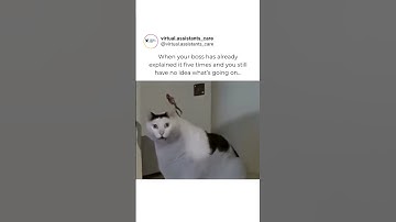 When Your Boss Explains It 5 Times and You Still Have No Idea 😩