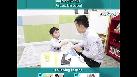 ABA Program: Receptive Labels