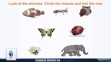 AFAQ Iqbal series KG Science Unit-01&2 (Worksheet# 01-10) Student’s Resource Pack | Teaching Videos.