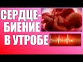 СЕРДЦЕ МАЛЫША В УТРОБЕ | Как бьется сердце эмбриона по неделям беременности