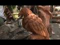 LOCAL WOODCARVER BURNISHES BRAND ANTIGUA AND INSPIRES YOUNG PEOPLE