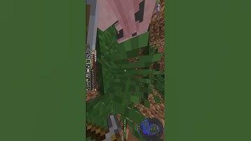 Perfectly cut Scream