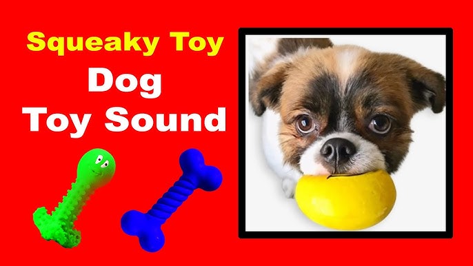 Dogs Squeaky Toy Sound Effect