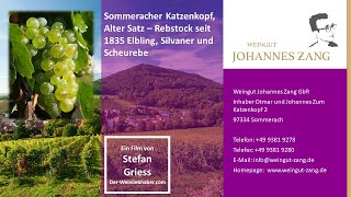 Weingut Johannes Zang Sommerach an der Mainschleife - Katzenkopf-Silvaner, Scheurebe und Elbling