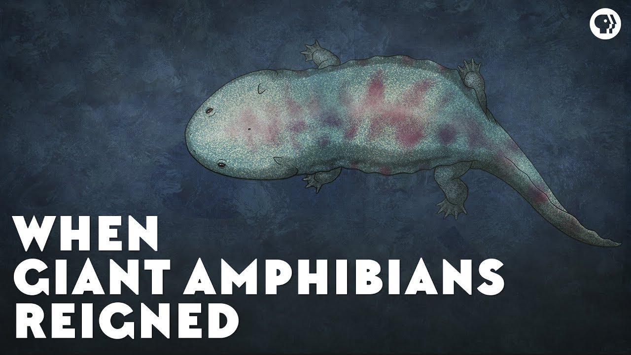 ⁣When Giant Amphibians Reigned