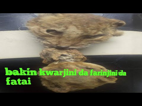 Bakin Kwarjini Da Farinjini Me Karfin Gaske