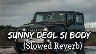 Sunny deol si body (slowed   reverb ) ||| 🎧❤️ #lofi #harayanvi #new